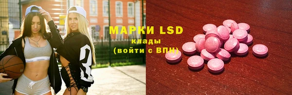 эйфоретик Алзамай