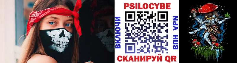 OMG как зайти  Ирбит  Галлюциногенные грибы Psilocybe 